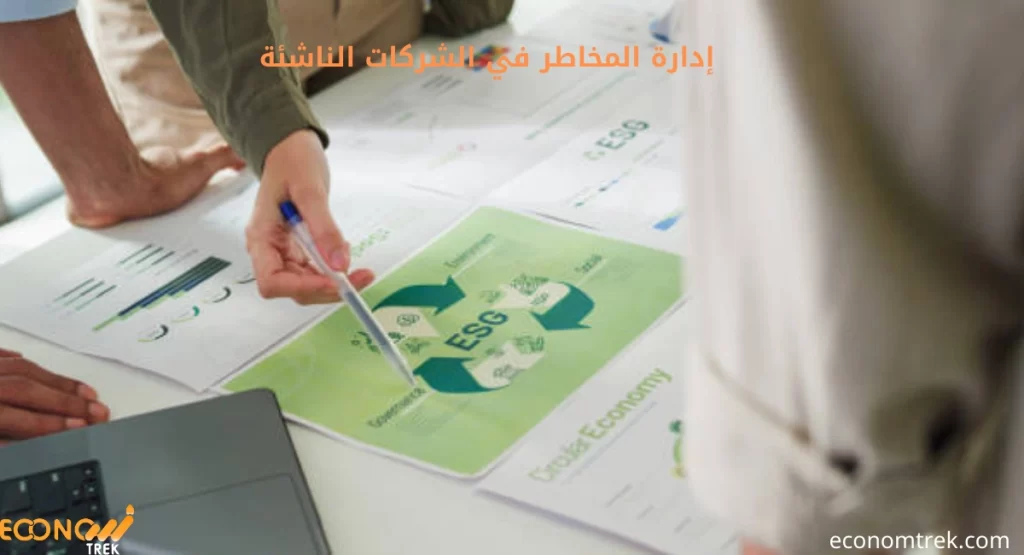 إدارة المخاطر في الشركات الناشئة