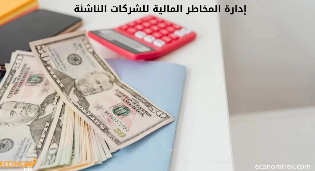 إدارة المخاطر المالية للشركات الناشئة