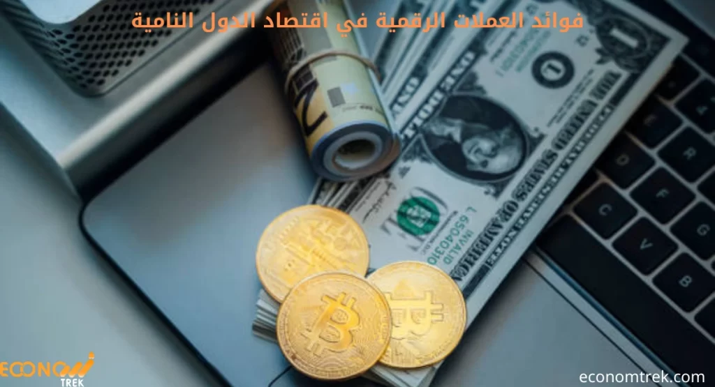 فوائد العملات الرقمية في اقتصاد الدول النامية
