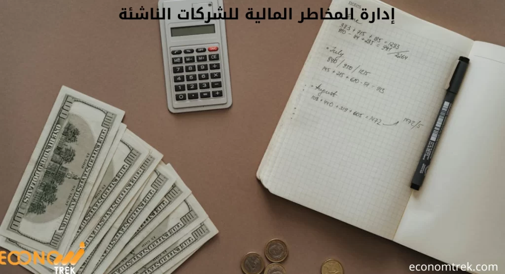 إدارة المخاطر المالية للشركات الناشئة