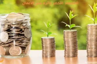 الاقتصاد الأخضر وأثره على الأعمال