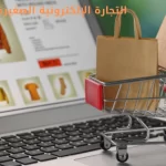 التجارة الإلكترونية الصغيرة