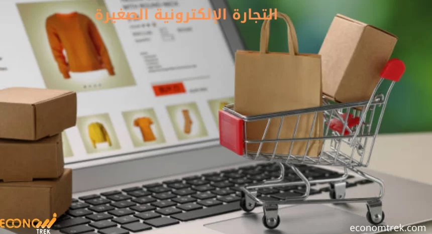 التجارة الإلكترونية الصغيرة