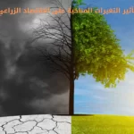 تأثير التغيرات المناخية على الاقتصاد الزراعي