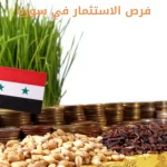 فرص الاستثمار في سوريا