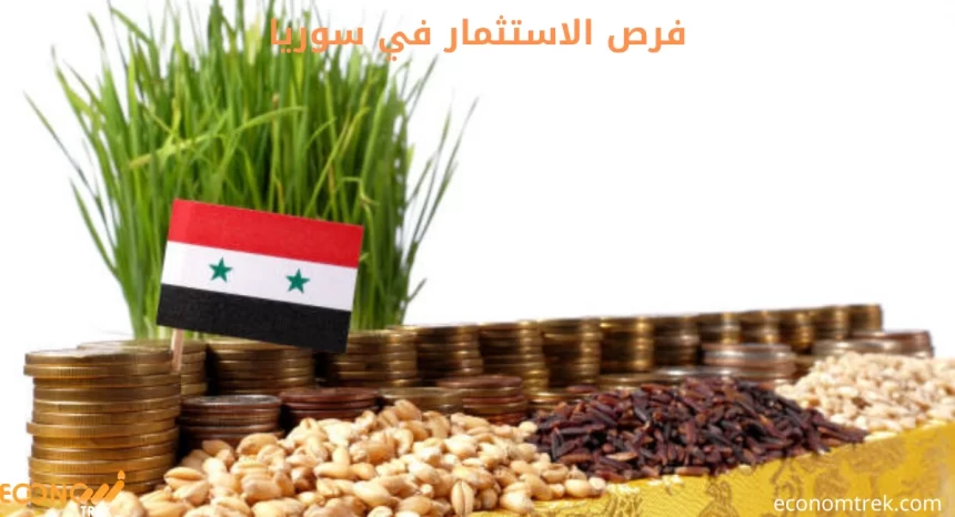 فرص الاستثمار في سوريا