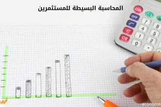 المحاسبة البسيطة للمستثمرين