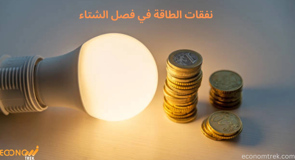 كيف تدير نفقات الطاقة الشتوية بذكاء؟ 2 نفقات الطاقة الشتوية