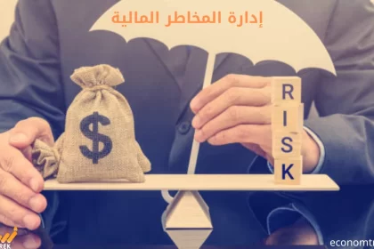 إدارة المخاطر المالية