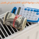 استراتيجيات مواجهة الركود الاقتصادي في فصل الشتاء