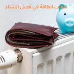 نفقات الطاقة الشتوية