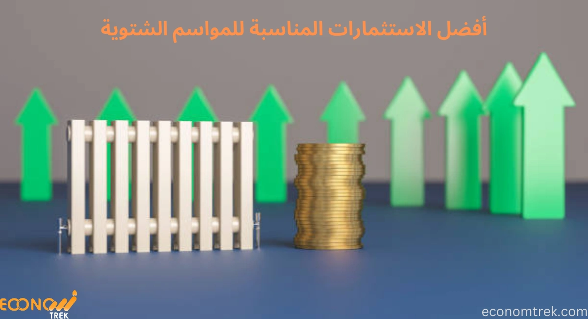 أفضل الاستثمارات المناسبة للمواسم الشتوية