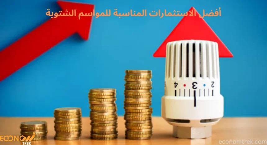 أفضل الاستثمارات المناسبة للمواسم الشتوية