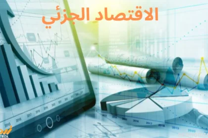 الاقتصاد الجزئي