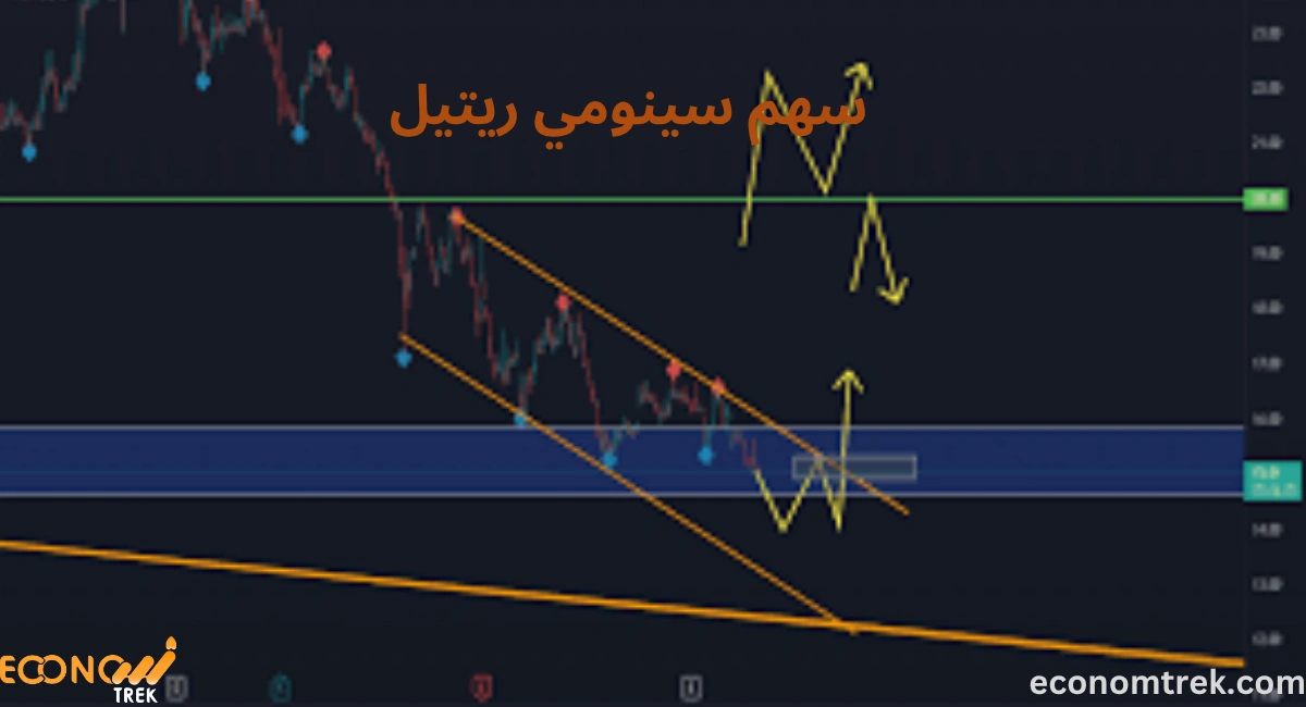 سهم سينومي ريتيل: Sinomy Retail (SINO) – تحليل شامل لأداءه وأحداث السوق 2 سهم سينومي ريتيل