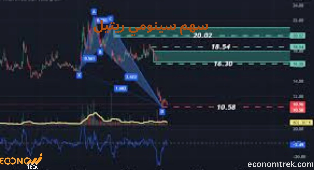 سهم سينومي ريتيل: Sinomy Retail (SINO) – تحليل شامل لأداءه وأحداث السوق 3 سهم سينومي ريتيل