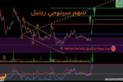 سهم سينومي ريتيل