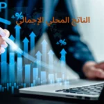 الناتج المحلي الإجمالي