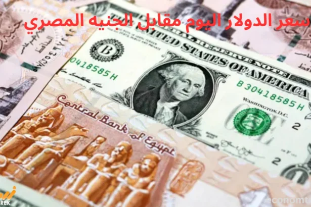 سعر الدولار اليوم مقابل الجنيه المصري